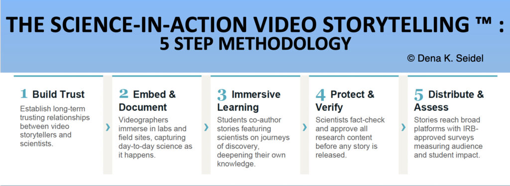 5 step methodology